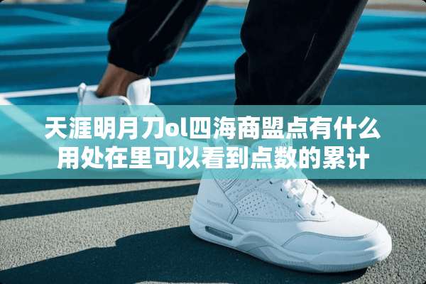 天涯明月刀ol四海商盟点有什么用处在里可以看到点数的累计