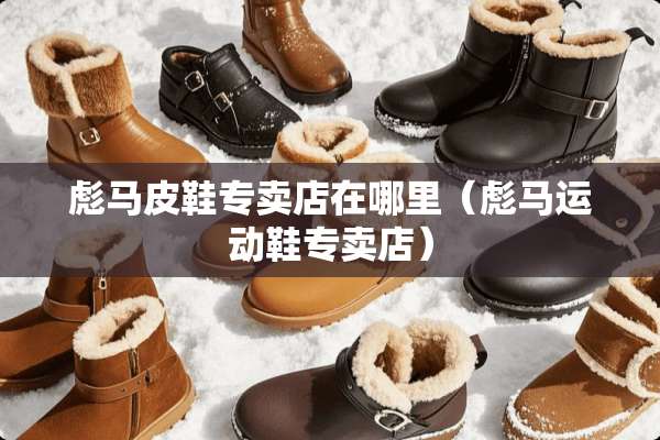 彪马皮鞋专卖店在哪里（彪马运动鞋专卖店）