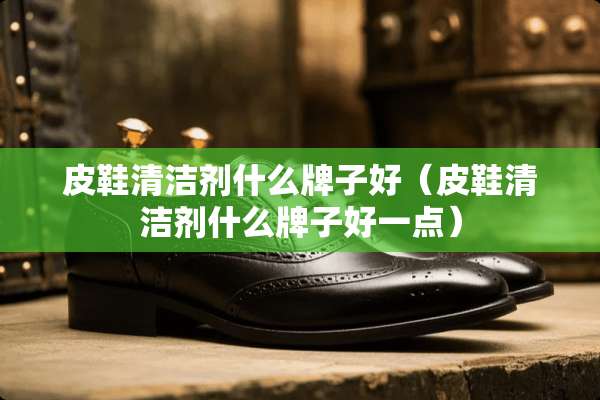 皮鞋清洁剂什么牌子好（皮鞋清洁剂什么牌子好一点）