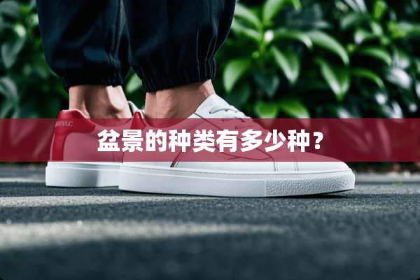 盆景的种类有多少种？