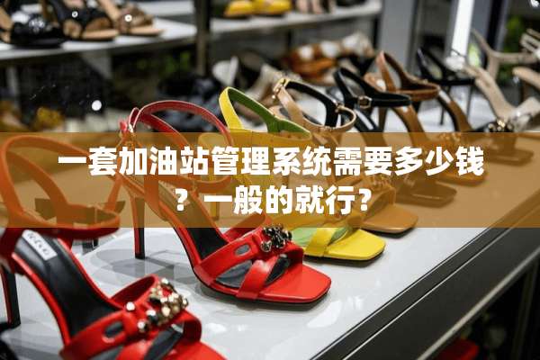 一套加油站管理系统需要多少钱？一般的就行？