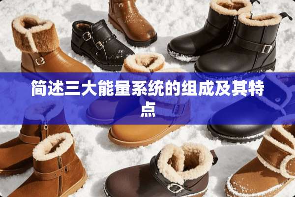 简述三大能量系统的组成及其特点
