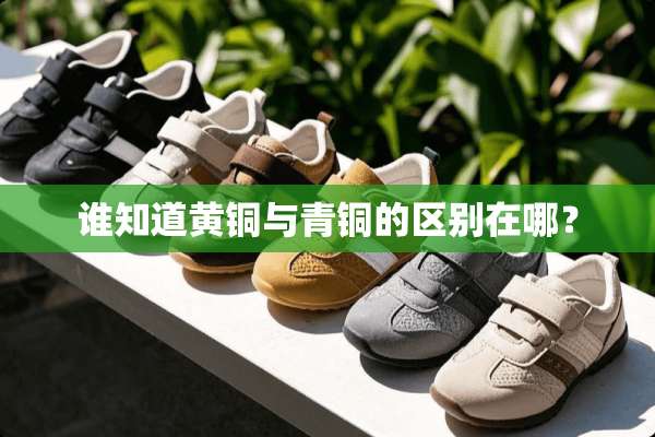 谁知道黄铜与青铜的区别在哪？