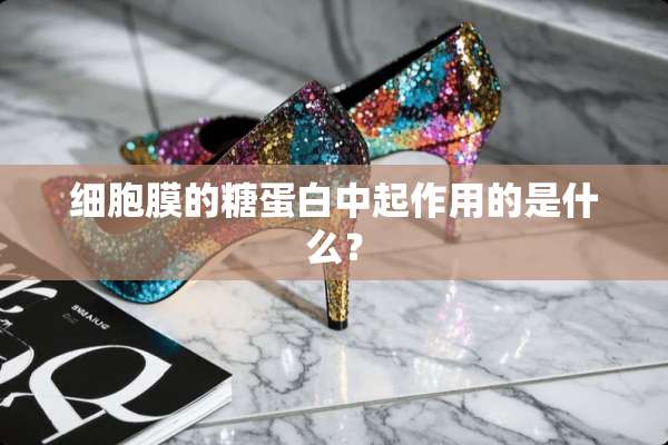 细胞膜的糖蛋白中起作用的是什么？