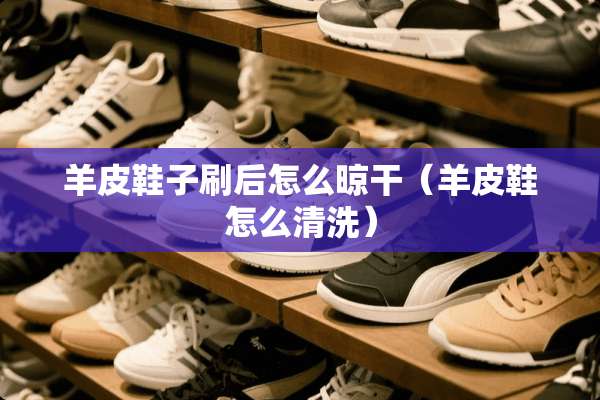 羊皮鞋子刷后怎么晾干（羊皮鞋怎么清洗）