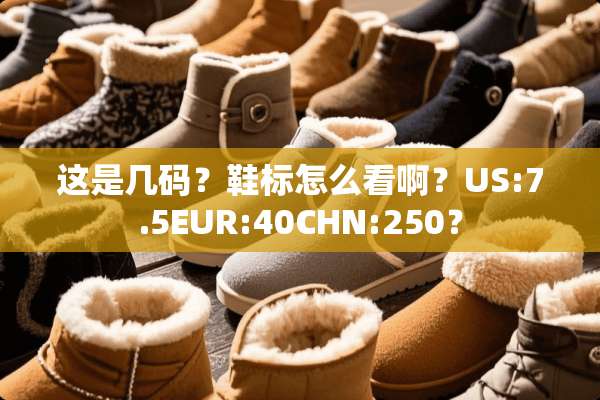 这是几码？鞋标怎么看啊？US:7.5EUR:40CHN:250？