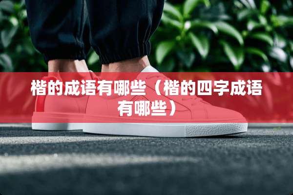 楷的成语有哪些（楷的四字成语有哪些）