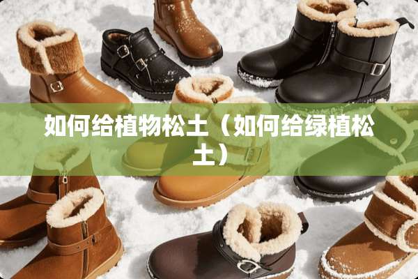 如何给植物松土（如何给绿植松土）