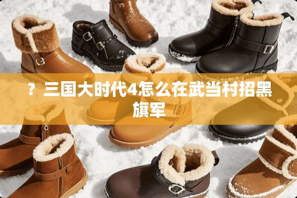 ？三国大时代4怎么在武当村招黑旗军