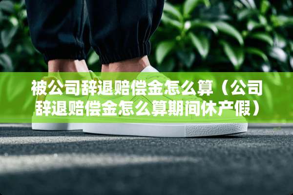 被公司辞退赔偿金怎么算（公司辞退赔偿金怎么算期间休产假）