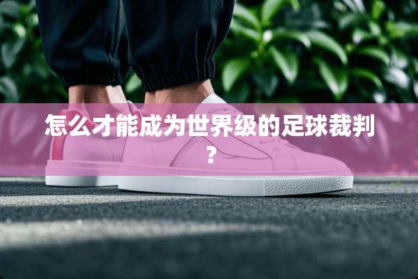 怎么才能成为世界级的**裁判？