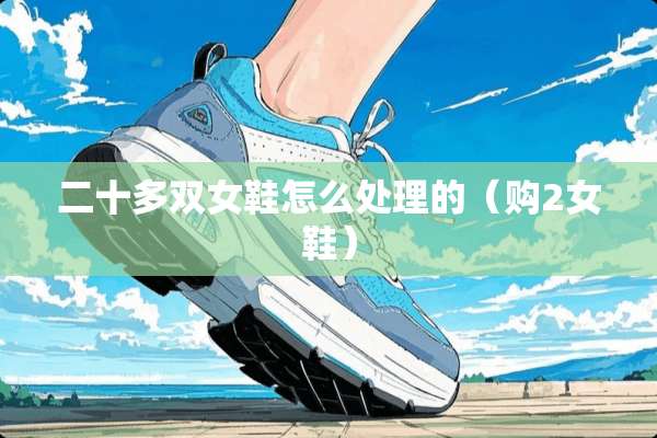 二十多双女鞋怎么处理的（购2女鞋）