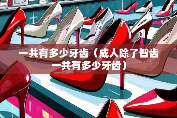 一共有多少牙齿（**除了智齿一共有多少牙齿）