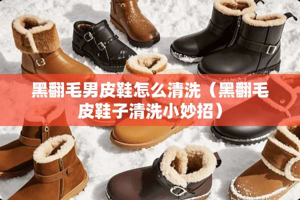 黑翻毛男皮鞋怎么清洗（黑翻毛皮鞋子清洗小妙招）