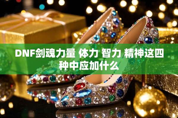 DNF剑魂力量 体力 智力 精神这四种中应加什么