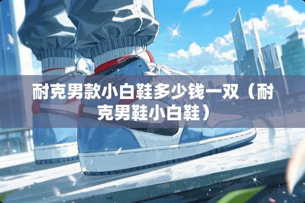 耐克男款小白鞋多少钱一双（耐克男鞋小白鞋）
