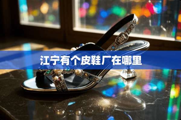 江宁有个皮鞋厂在哪里