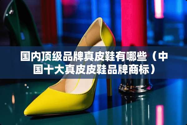国内**品牌真皮鞋有哪些（中国十大真皮皮鞋品牌商标）