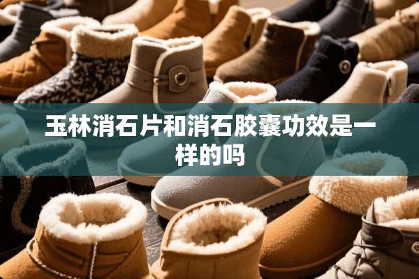 玉林消石片和消石胶囊功效是一样的吗