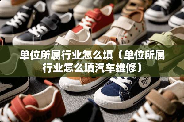 单位所属行业怎么填（单位所属行业怎么填汽车维修）