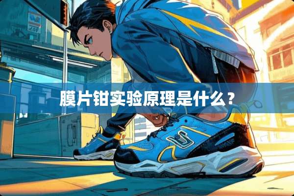 膜片钳实验原理是什么？