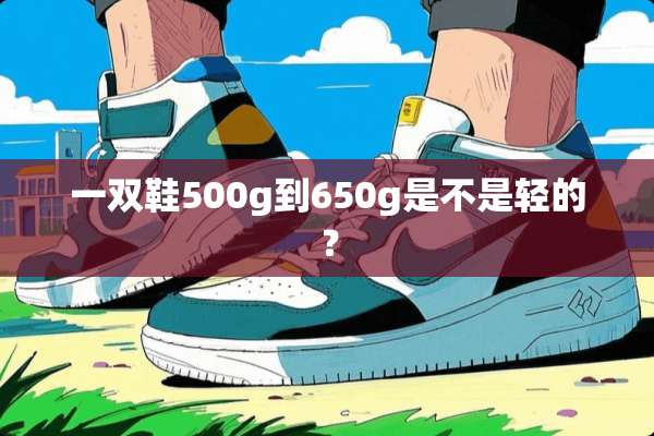 一双鞋500g到650g是不是轻的？