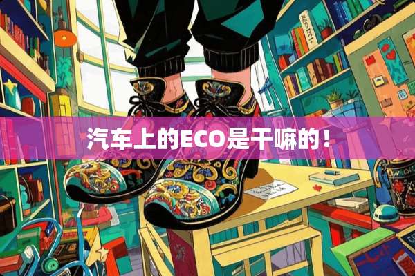 汽车上的ECO是干嘛的！