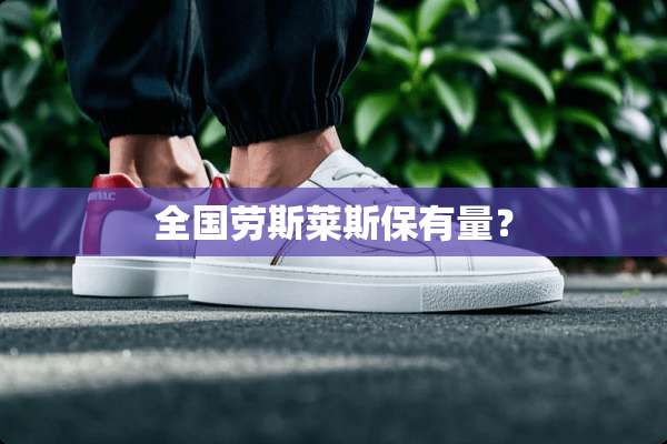 全国劳斯莱斯保有量？