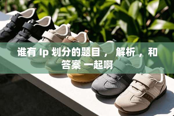 谁有 Ip 划分的题目 ， 解析 ，和答案 一起啊