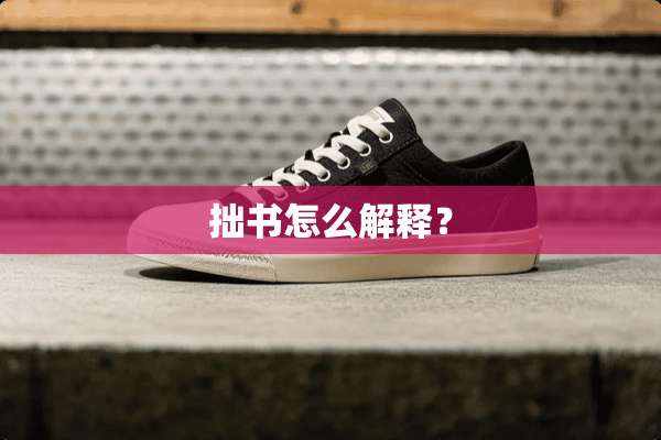 拙书怎么解释？