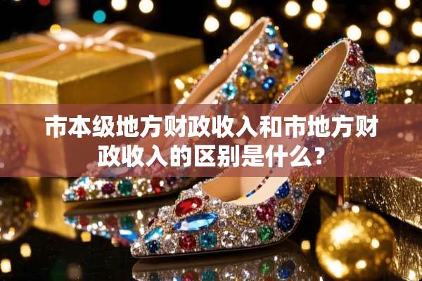 市本级地方财政收入和市地方财政收入的区别是什么？