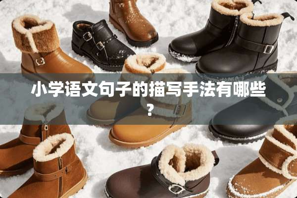 小学语文句子的描写手法有哪些？