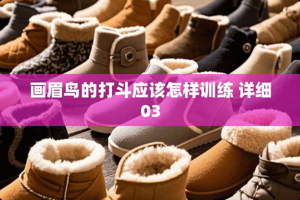 画眉鸟的打斗应该怎样训练 详细03