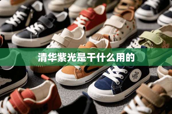 清华紫光是干什么用的