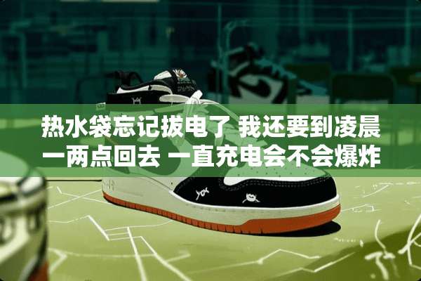 热水袋忘记拔电了 我还要到凌晨一两点回去 一直充电会不会**什么的 求解答