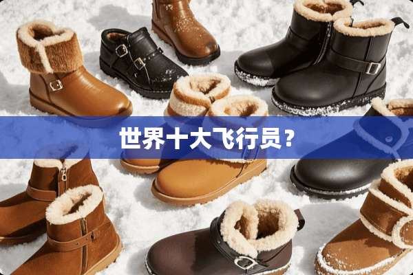 世界十大飞行员？