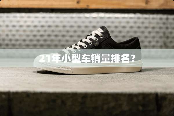 21年小型车销量排名？