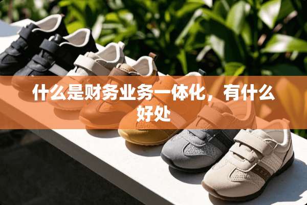 什么是财务业务一体化，有什么好处
