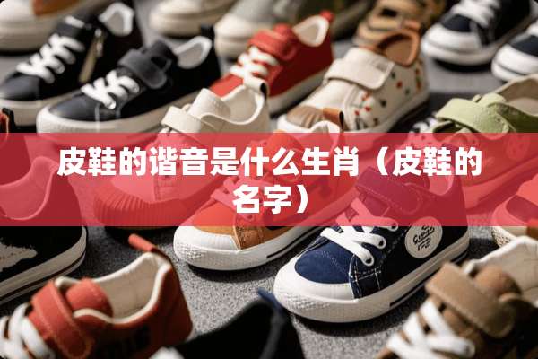 皮鞋的谐音是什么生肖（皮鞋的名字）