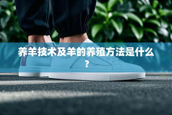 养羊技术及羊的养殖方法是什么？