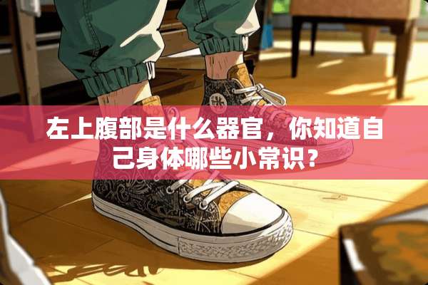 左上腹部是什么**，你知道自己身体哪些小常识？