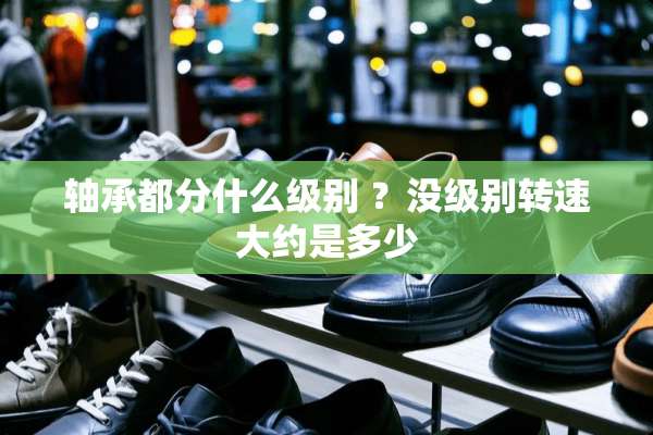 轴承都分什么级别 ？没级别转速大约是多少