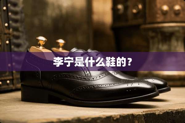 李宁是什么鞋的？