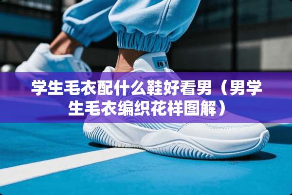 学生毛衣配什么鞋好看男（男学生毛衣编织花样图解）