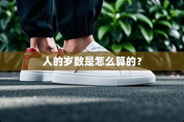 人的岁数是怎么算的？