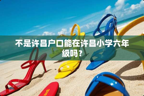 不是许昌户口能在许昌小学六年级吗？