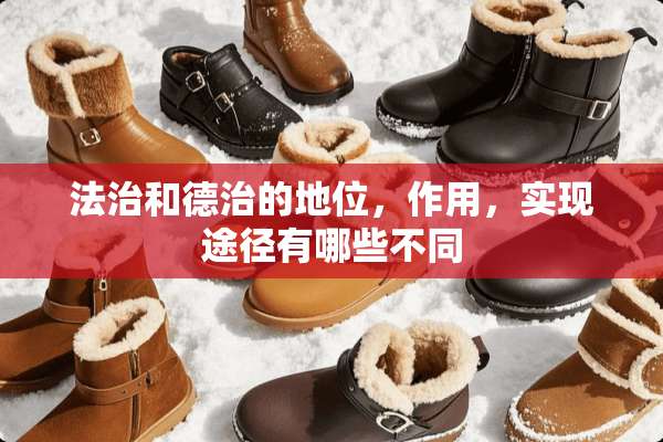 法治和德治的地位，作用，实现途径有哪些不同
