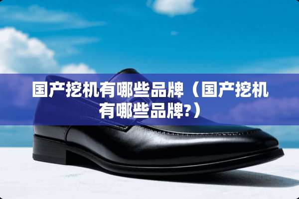 国产挖机有哪些品牌（国产挖机有哪些品牌?）