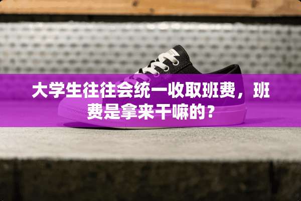 大学生往往会统一收取班费，班费是拿来干嘛的？