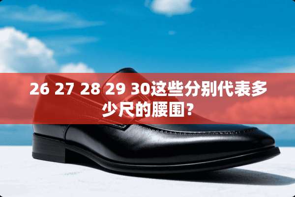 26 27 28 29 30这些分别代表多少尺的腰围？